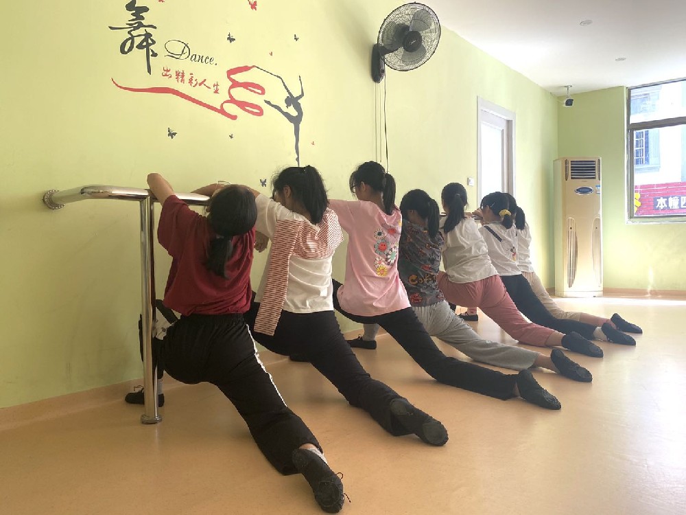 舞蹈课-基本功锻炼